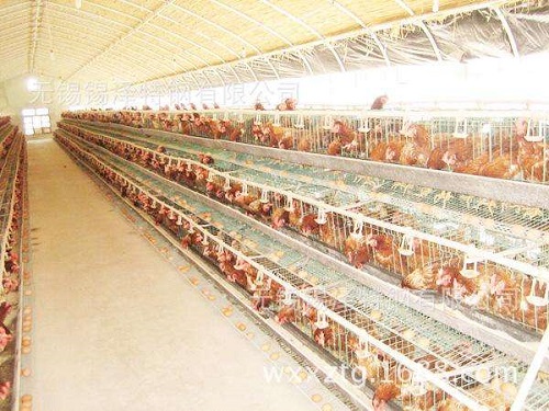 二氧化碳濃度探測器在畜牧業的應用